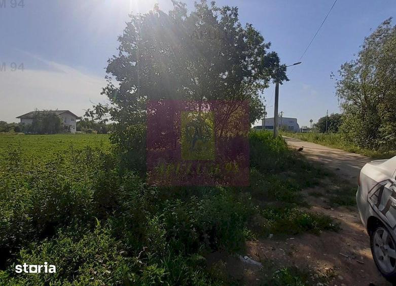 Teren de 5000 mp, în Copăceni