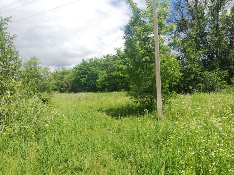 Teren de 1850 mp, în Calvini