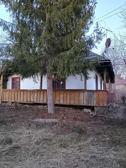 Casă cu 3 camere în Central
