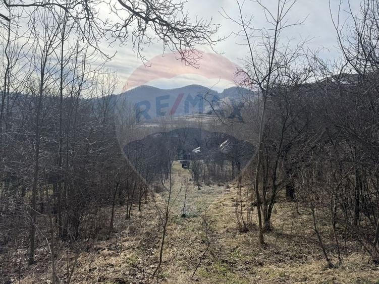 Teren Construcții intravilan de 1271 mp, în Izvoarele (Livezile)
