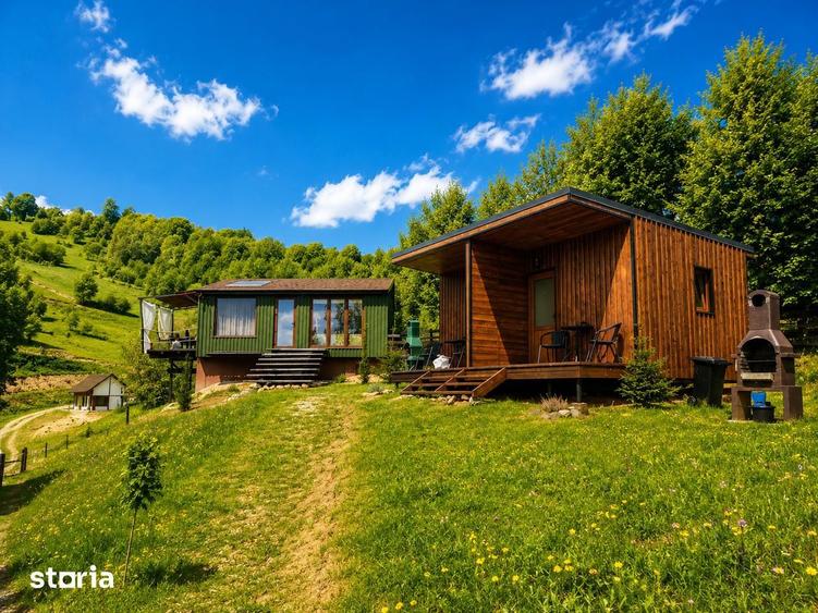 Afacere turistica premium de vanzare ?irnea, Bra?ov - 6