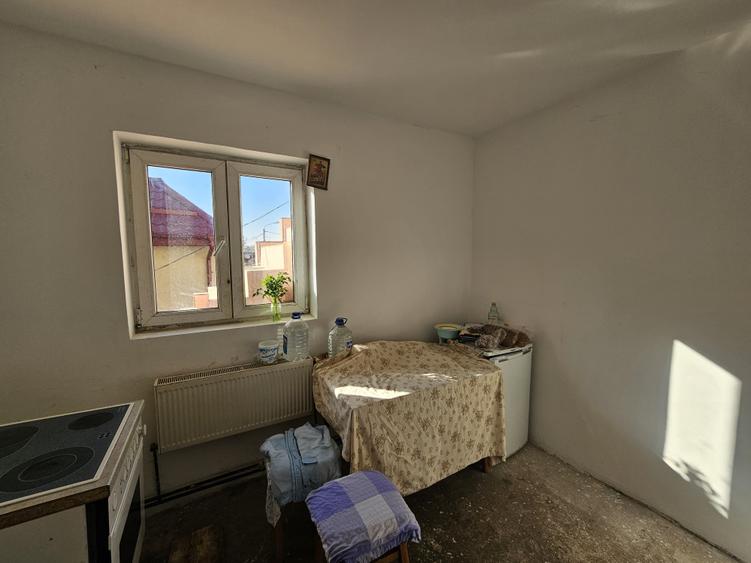 Casă mare, 400 mp utili, P+E+M, Timișoara, zona Mehala, comision 0% - 14