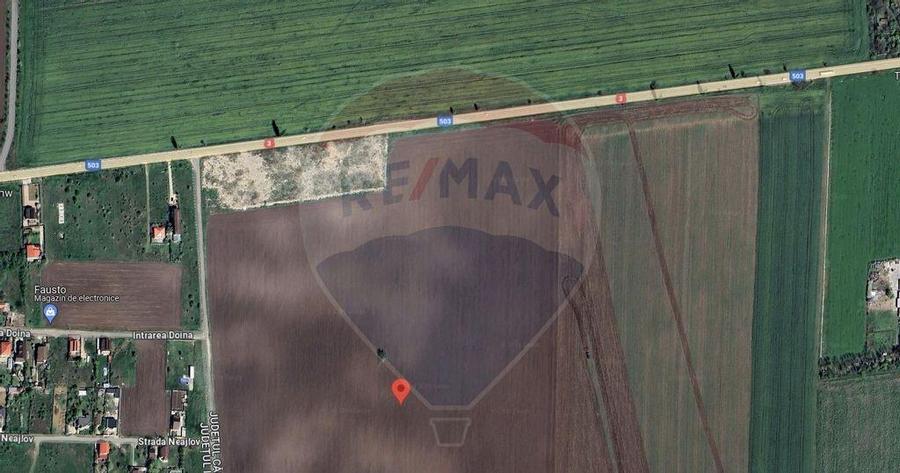 Teren Belciugatele, limita Branesti | DN 3 - 4