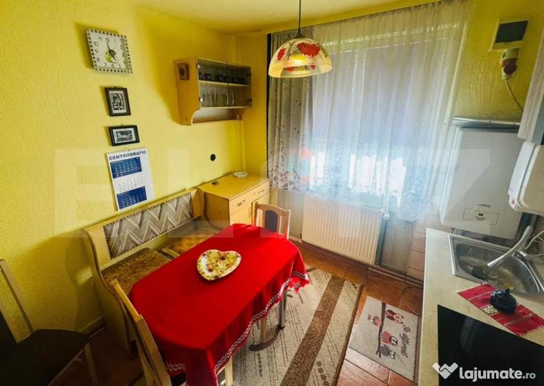 Apartament pentru vacan?a, 2 camere, 52 mp., Deda - 5
