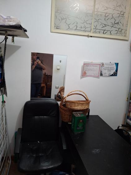 3camere Calarasi Pictor Romano Casa Bessler - 17