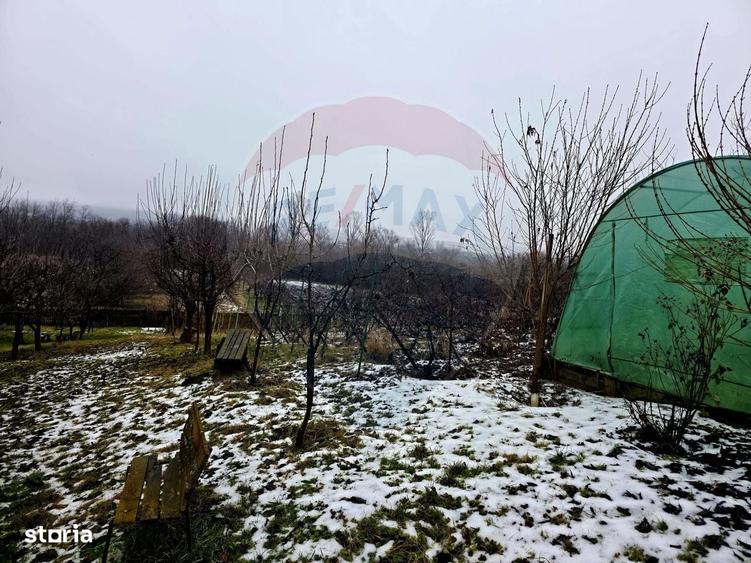 Teren intravilan 4,516mp Doina - 10