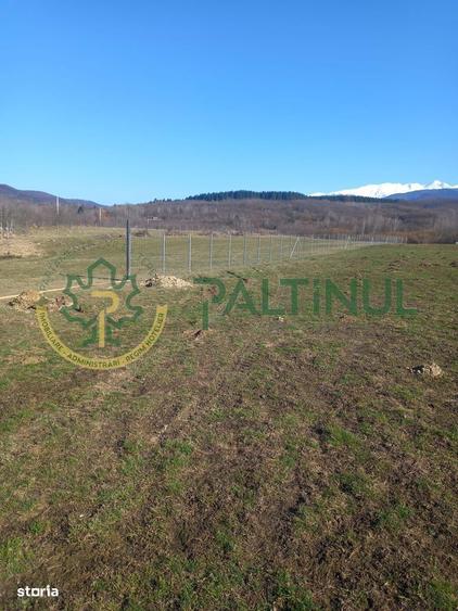 Vindem teren Sibiu, Valea Lupului, priveliste deosebita - 4