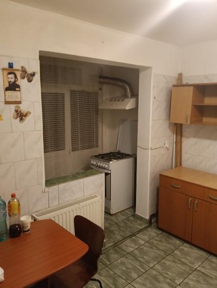 Apartament 2 semi Craiovița  - 12