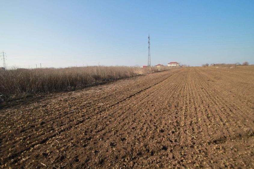 Teren intravilan- zona Veterani - 9