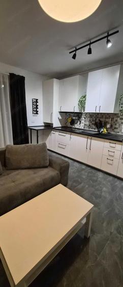 Apartament cu 1 camera la 2 minute de magazinul Penny Giroc - 1