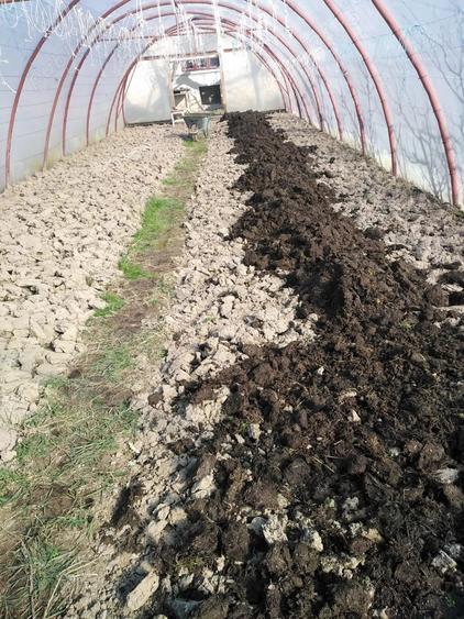 Casa 4 camere Petid,judetul Bihor - 10