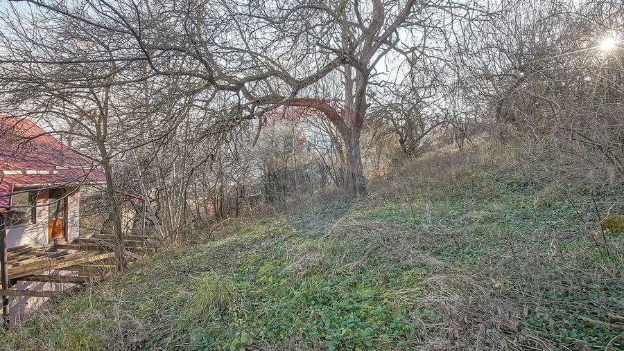 Comision 0! Casă  cu teren de 1000mp in inima Brasovului - 15