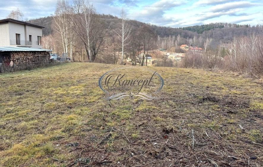 Teren cu potential pe Valea Caprioarei - 6