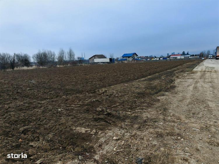 Teren constructii multifunctional, langa Dedeman, Republicii - 3