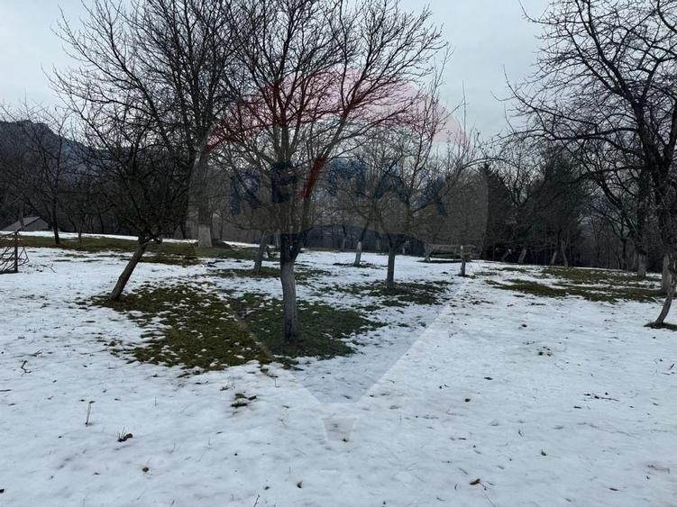 Teren Zarnesti /Bran/Predelut6 Strada Pe tarina - 6