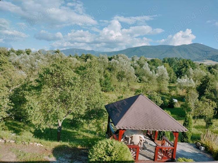 casa de vacanta de inchiriat - 1