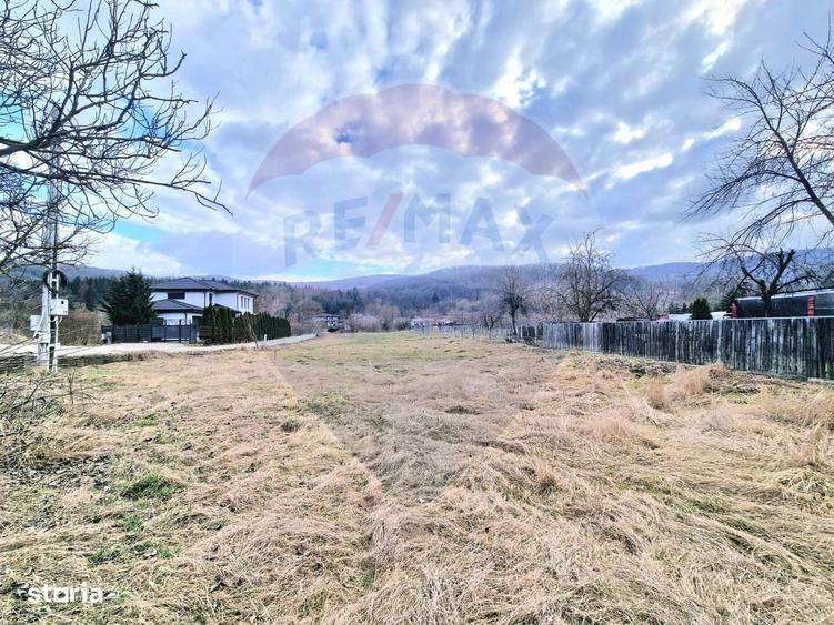 Teren Intravilan generos la intrare in Luncani - 6