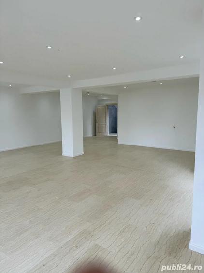 Spatii de Inchiriat - 7
