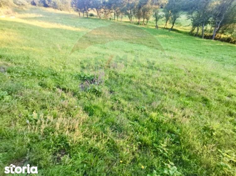 Teren extravilan Breb 6,900mp - 3