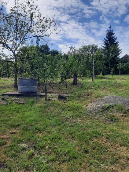 Vand casa de vacanta in Frunzeni jud. Mures - 9