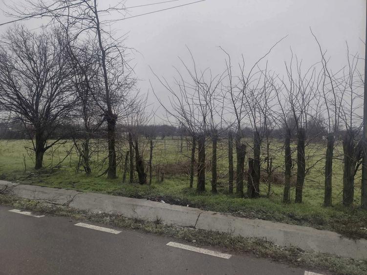TEREN INTRAVILAN DE VANZARE la 85 km de Bucuresti - 6