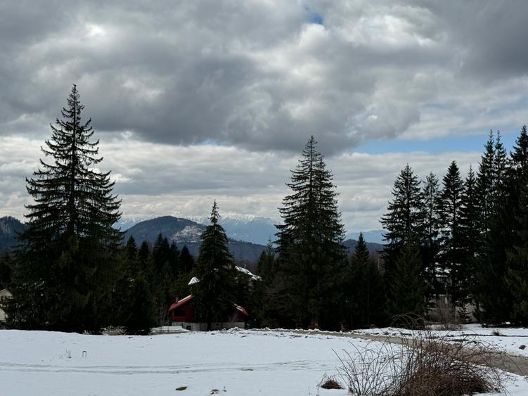 Casa de vacata Predeal Trei Brazi - 19