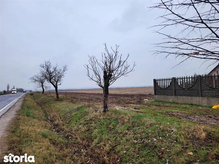 Teren intravilan,Calea Aradului,zona aeroport, Oradea - 1