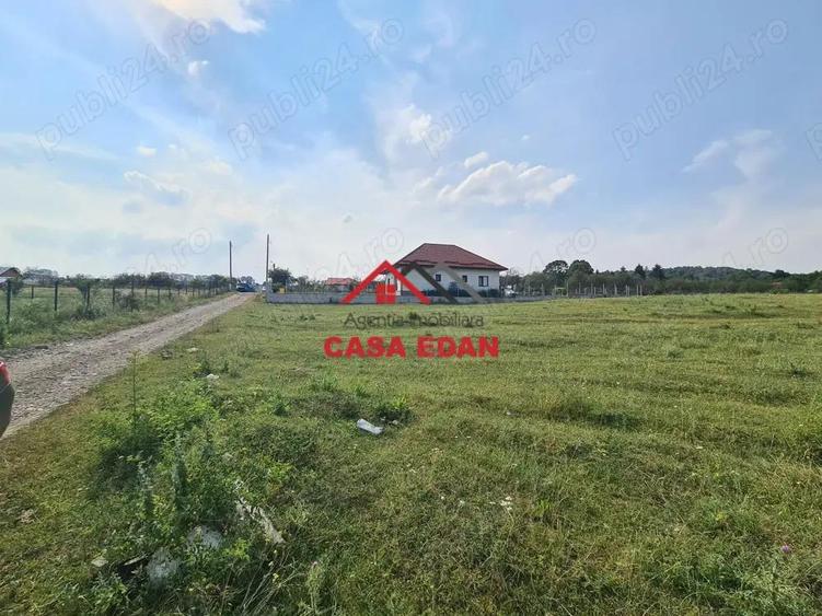 Teren intravilan in Campina, 7500mp--35e - 9