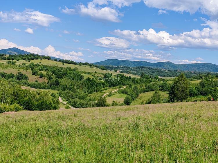 1,3 HA TEREN EXTRAVILAN, Muntii Apuseni, Negreni, jud. Cluj, la 5 km de E60