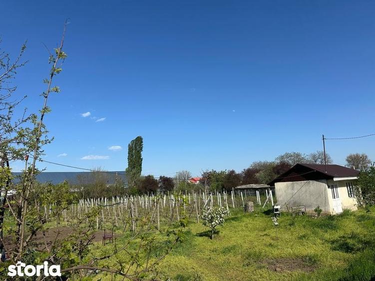 Vand loc de casa - 3