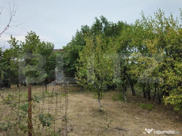Teren extravilan 17524 mp, expunere sudica, Viforata - 3