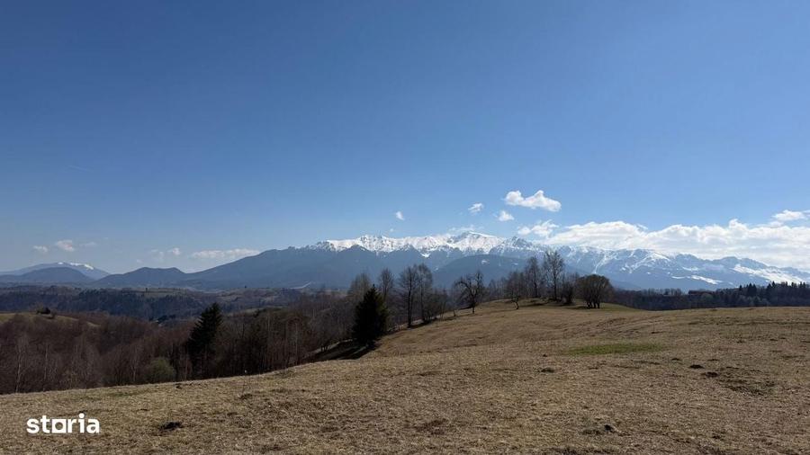 Teren 4584 mp de vanzare Pestera, Moeciu, Brasov - 7