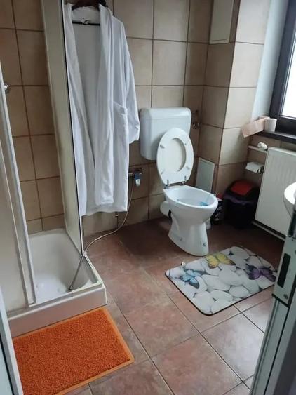 Resedinta cu 8 camere in Orasul Breaza - 9