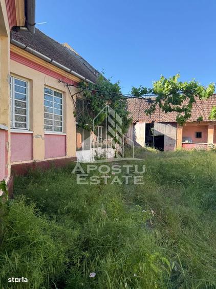 Casa de caramida in Sustra ,Topolovatul Mare cu teren de 1522 mp. - 9