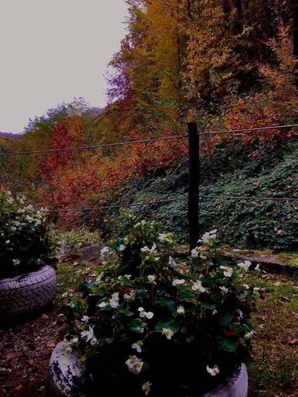 Teren intravilan 5660 mp - 8