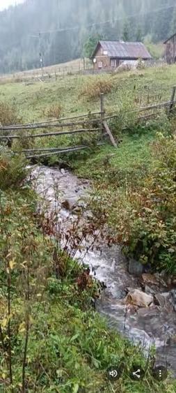 TEREN DORNA ARII - 9