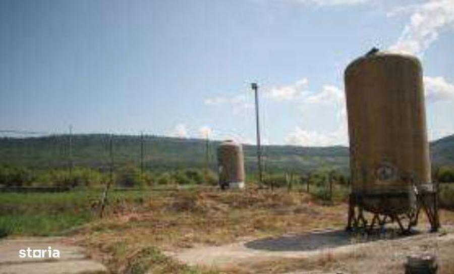 Fabrica lapte- Loc Micestii de Campie, Jud. Bistrita-Nasaud - 8