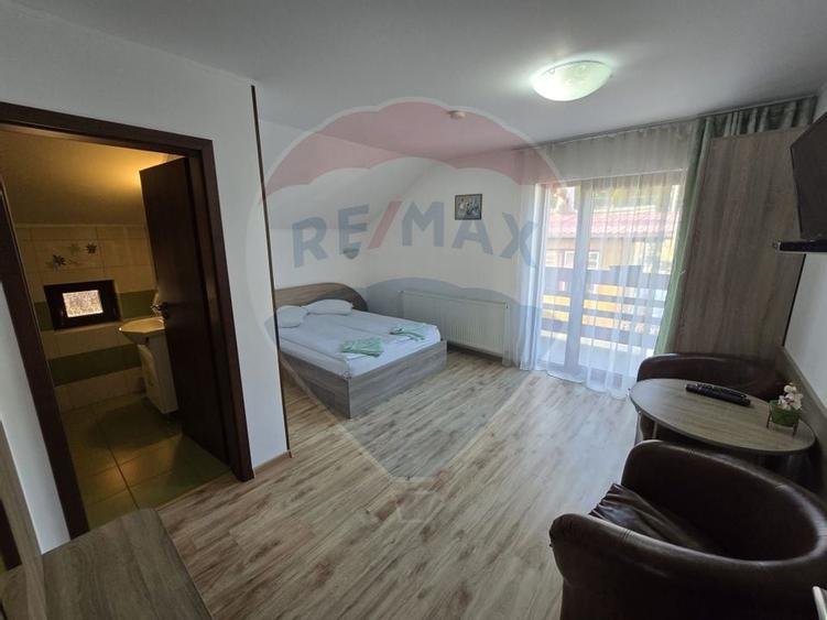 VILA ORHIDEEA  PENSIUNE  DE VANZARE IN STATIUNEA  PALTINIS JUD SIBIU - 14