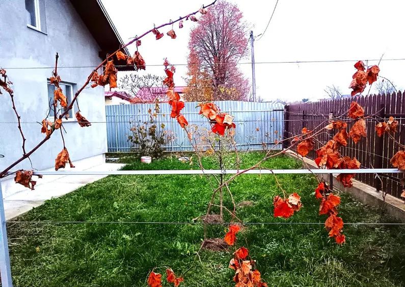 Casa in Mitocul Dragomirnei - 14