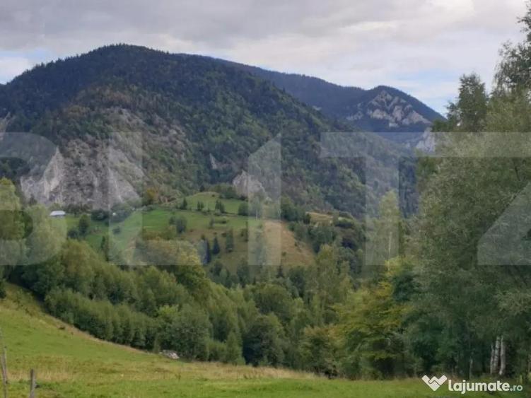 Teren 13.570 mp, Moieciu Pestera - 4