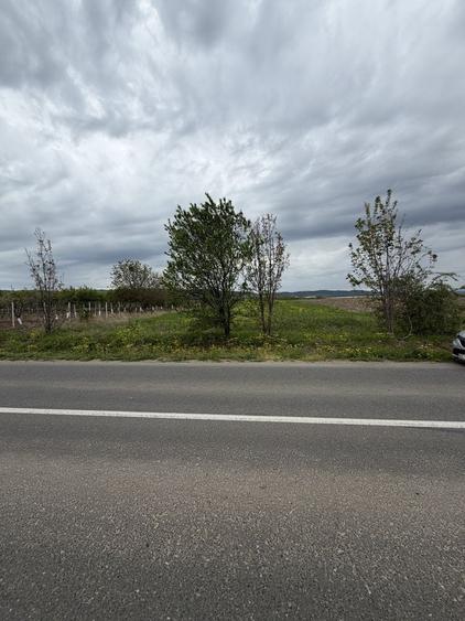 Teren intravilan 5000 mp de vanzare Zoresti, com. Vernesti, jud. Buzau - 1