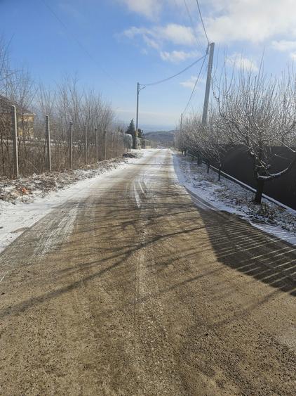 Teren 571 mp Chicerea-Tomesti - 6