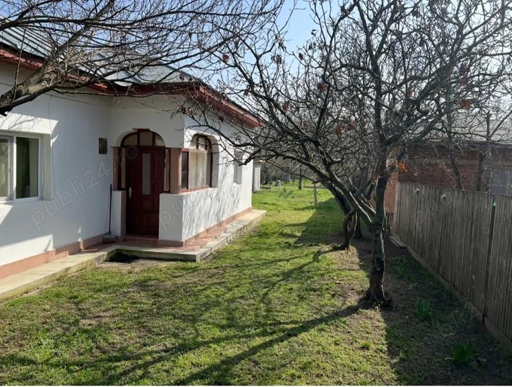 Vand Casa Crivina Jud Giurgiu - 8
