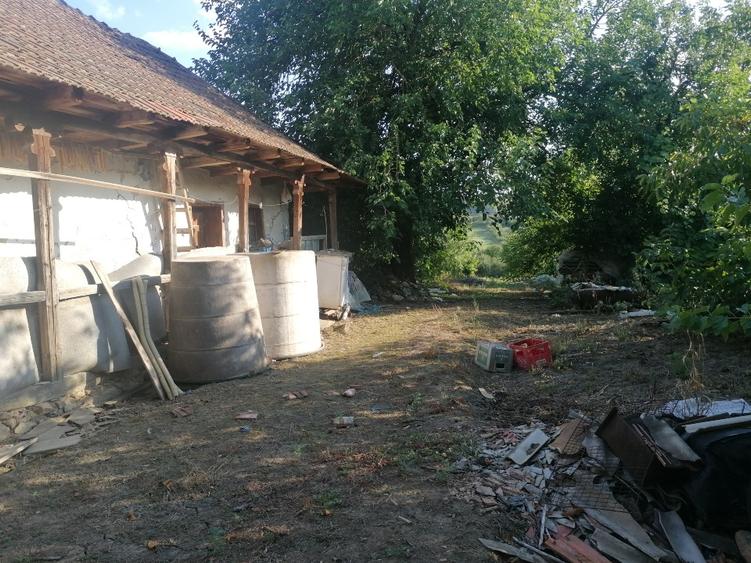 Casa și teren  loc linistir - 1