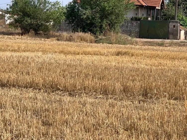 teren intravilan, Poiana, Ovidiu- Constanta - 3