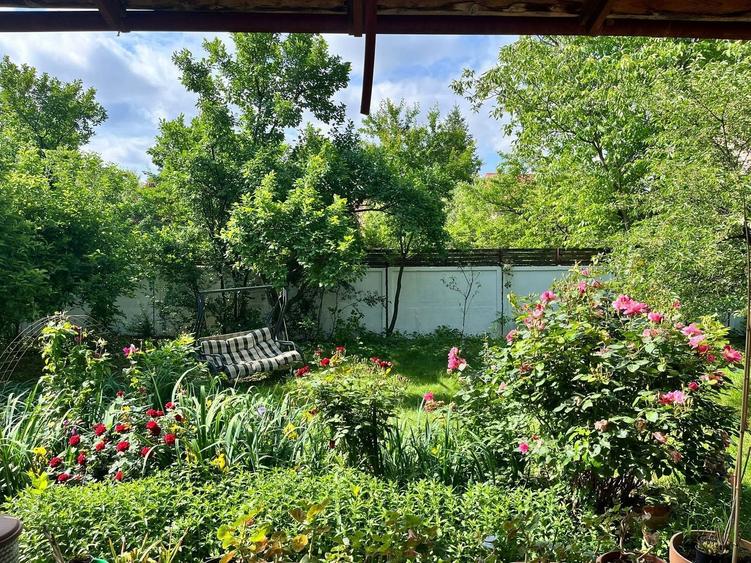 PROPRIETATE UNICA: 1.618 MP TEREN  IN PIPERA, CU VILA SOLIDA SI GRADINA SUPERBA - 18