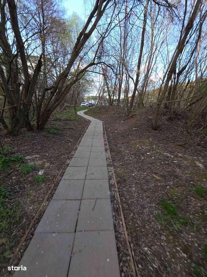 Apartament de vanzare in mijlocul naturii - 3