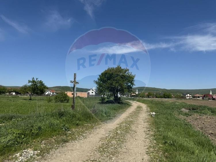 Teren de vanzare 8.700 mp in Livada comuna Iclod - 7