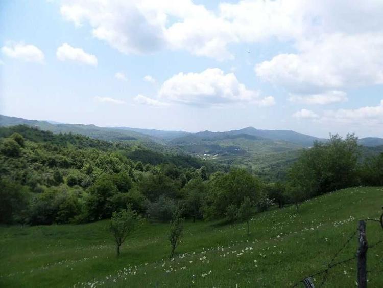 Vand teren / casa munte Breaza - 5