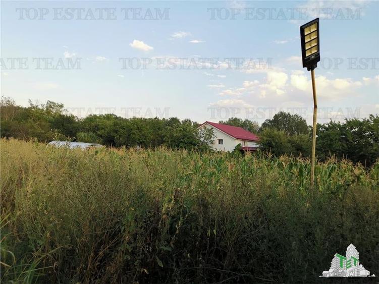 Adunatii Copaceni, teren 1212 mp, hala 136 mp, casa 37.5 mp cu pivnita 12 mp - 1